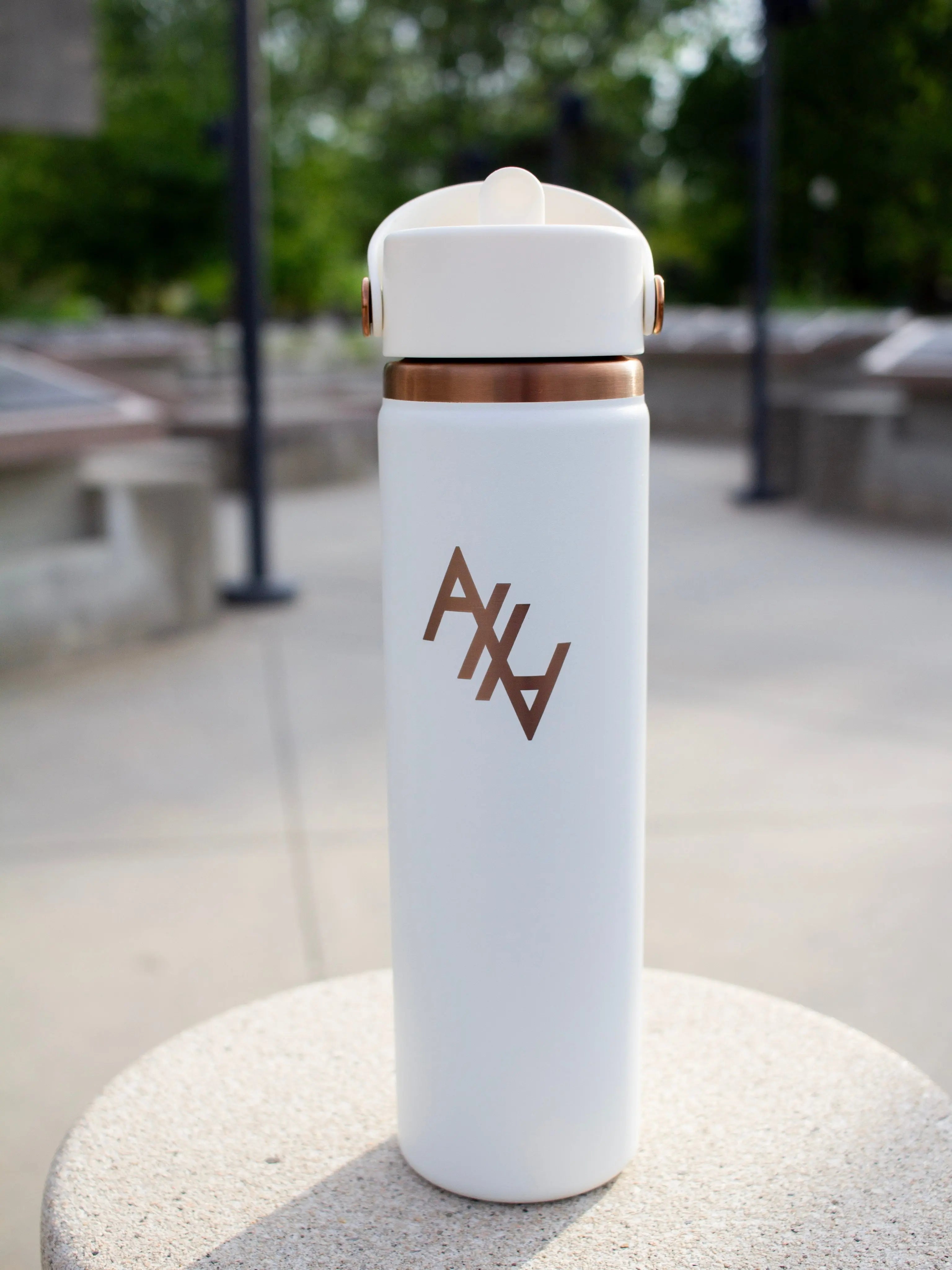 AHA (Abolish Human Abortion) Hydro Flask Abolitionists Rising Gear Store