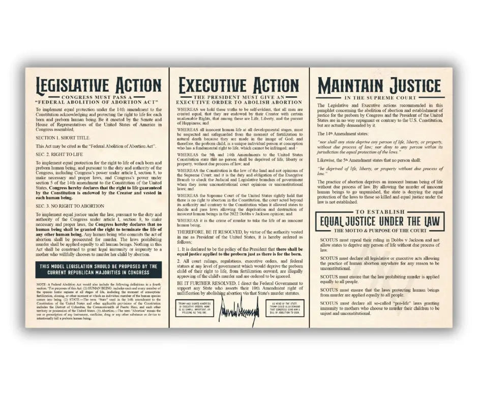 We The People Demand Abolition Trifold - Abolitionists Rising Gear Store