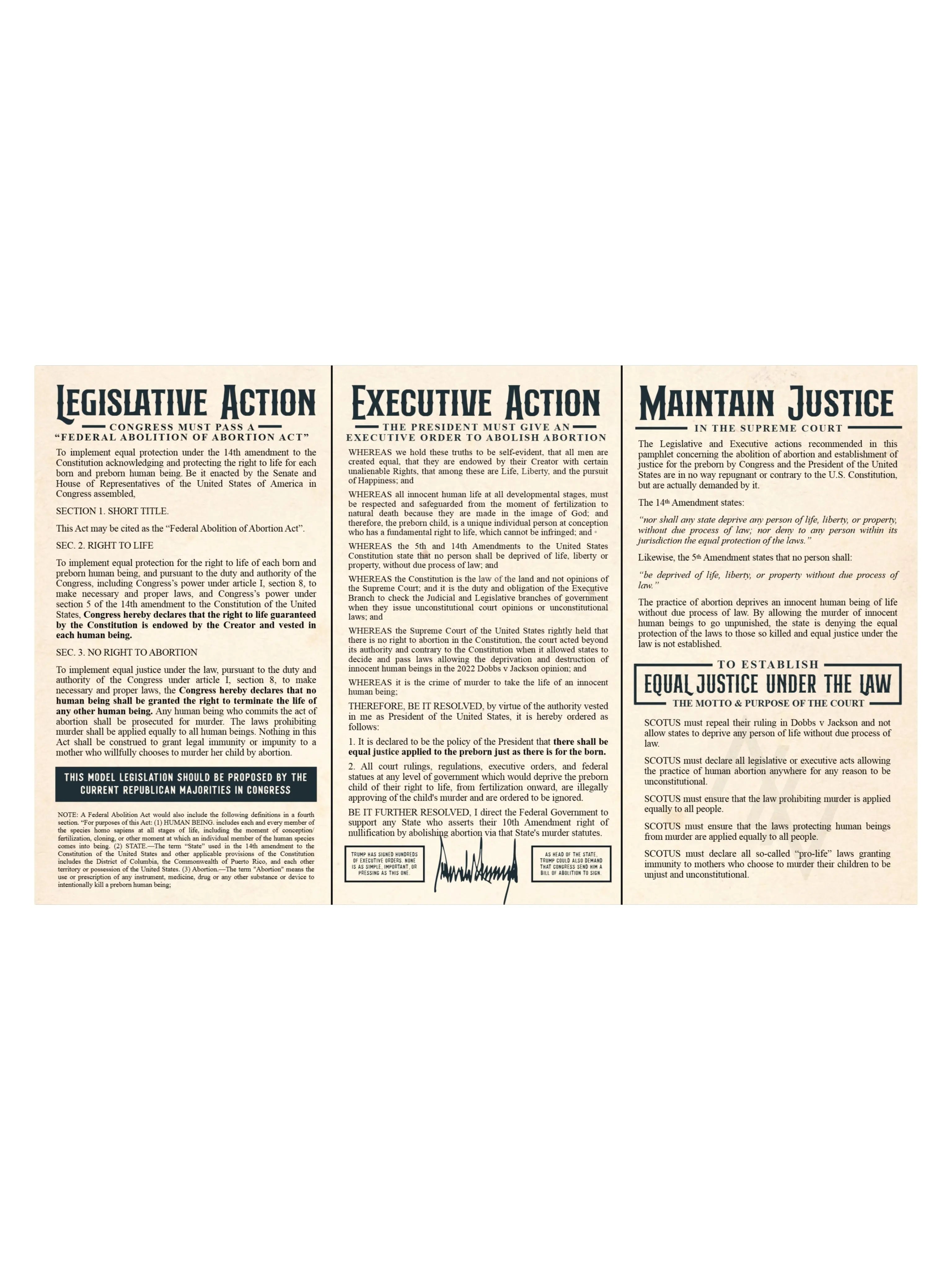 We The People Demand Abolition Trifold - Abolitionists Rising Gear Store