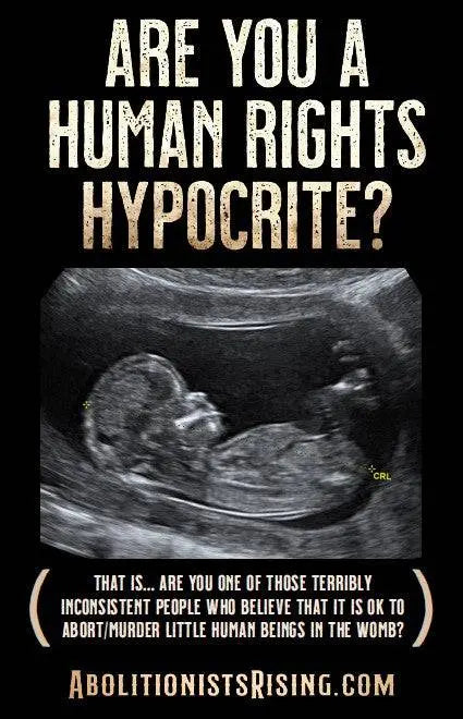 Human Rights Hypocrite Sign - Abolitionists Rising Gear Store Signs Default Title Abolitionists Rising Store