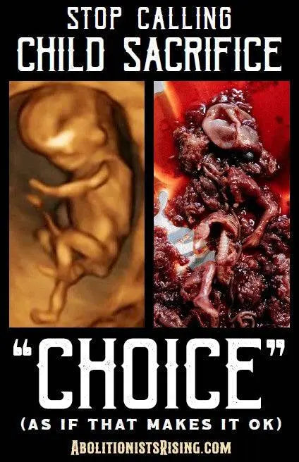 Stop Calling Child Sacrifice Choice Sign - Abolitionists Rising Gear Store Signs Default Title Abolitionists Rising Store