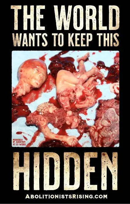 The World Wants to Keep This Hidden Sign - Abolitionists Rising Gear Store Signs Default Title Abolitionists Rising Store