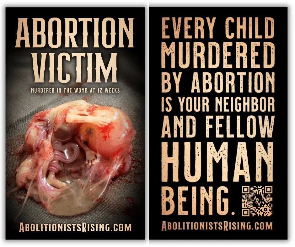 Abortion Victim: Murdered at 12 weeks - Dropcard - Abolitionists Rising Gear Store Dropcards One Month Supply - Pack of 31 Abolitionists Rising Store