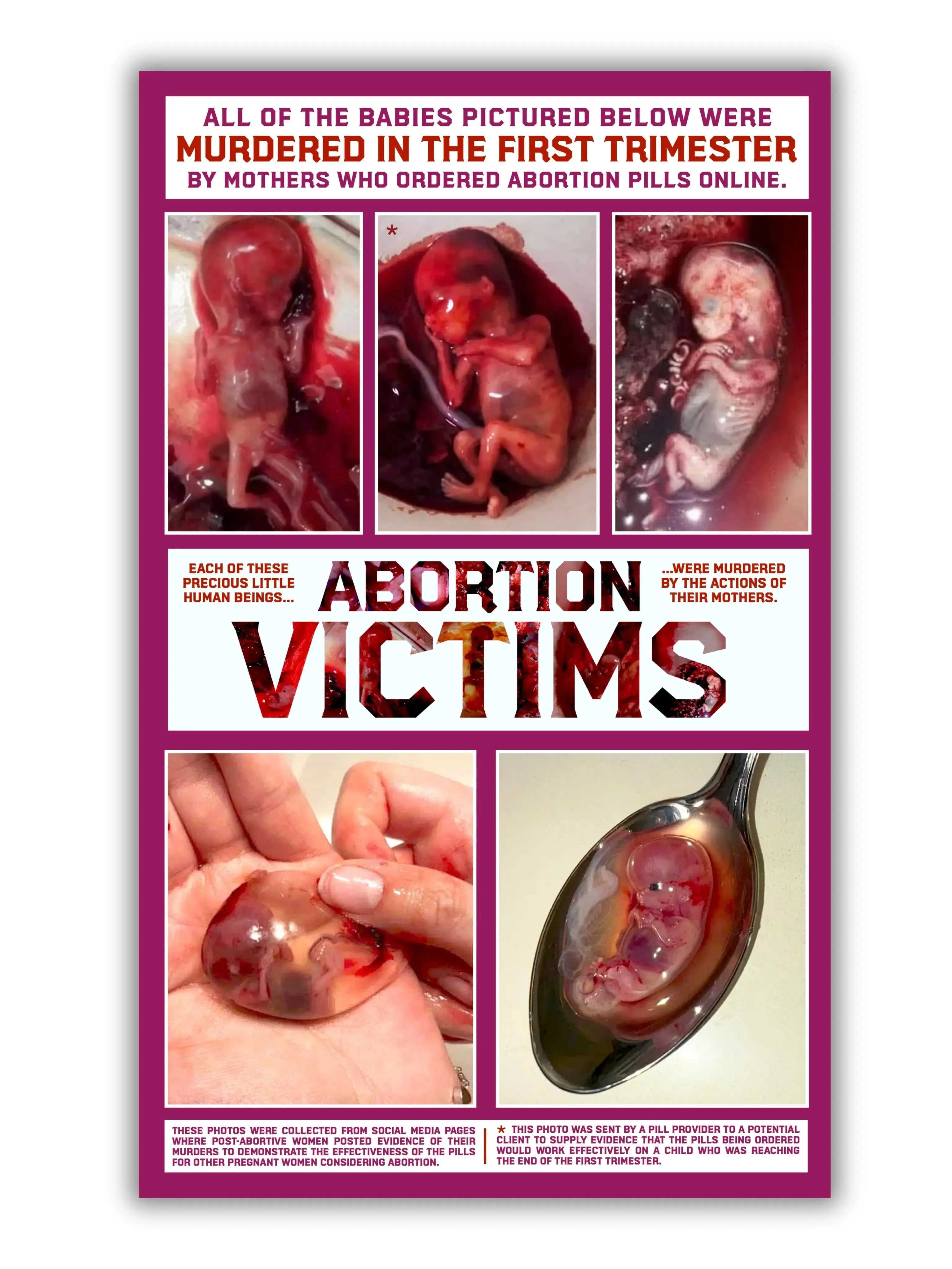 Taking A Pill To Murder Quadfold | Pack Of 100 Abolitionists Rising Gear Store