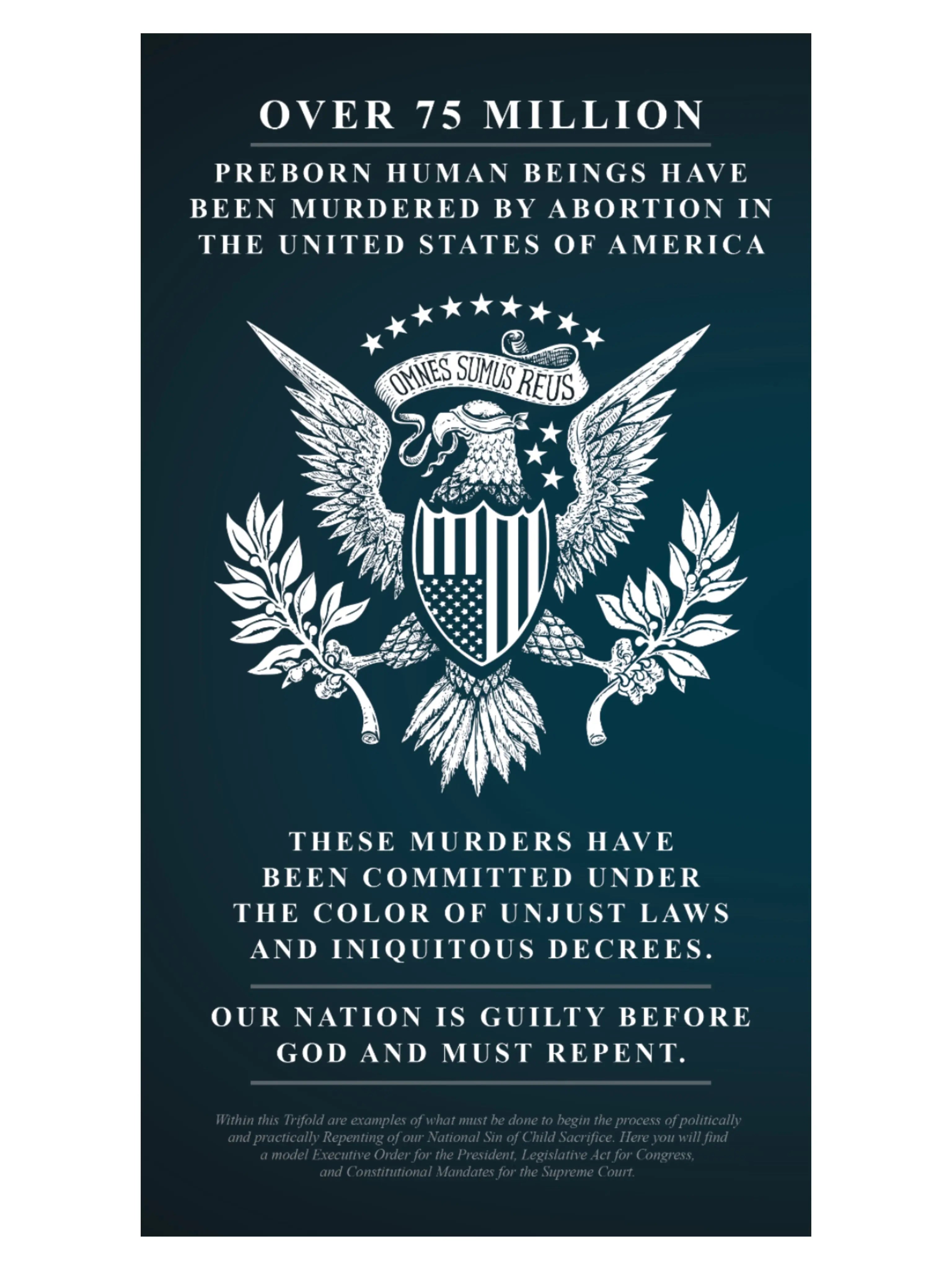 We The People Demand Abolition Trifold - Abolitionists Rising Gear Store