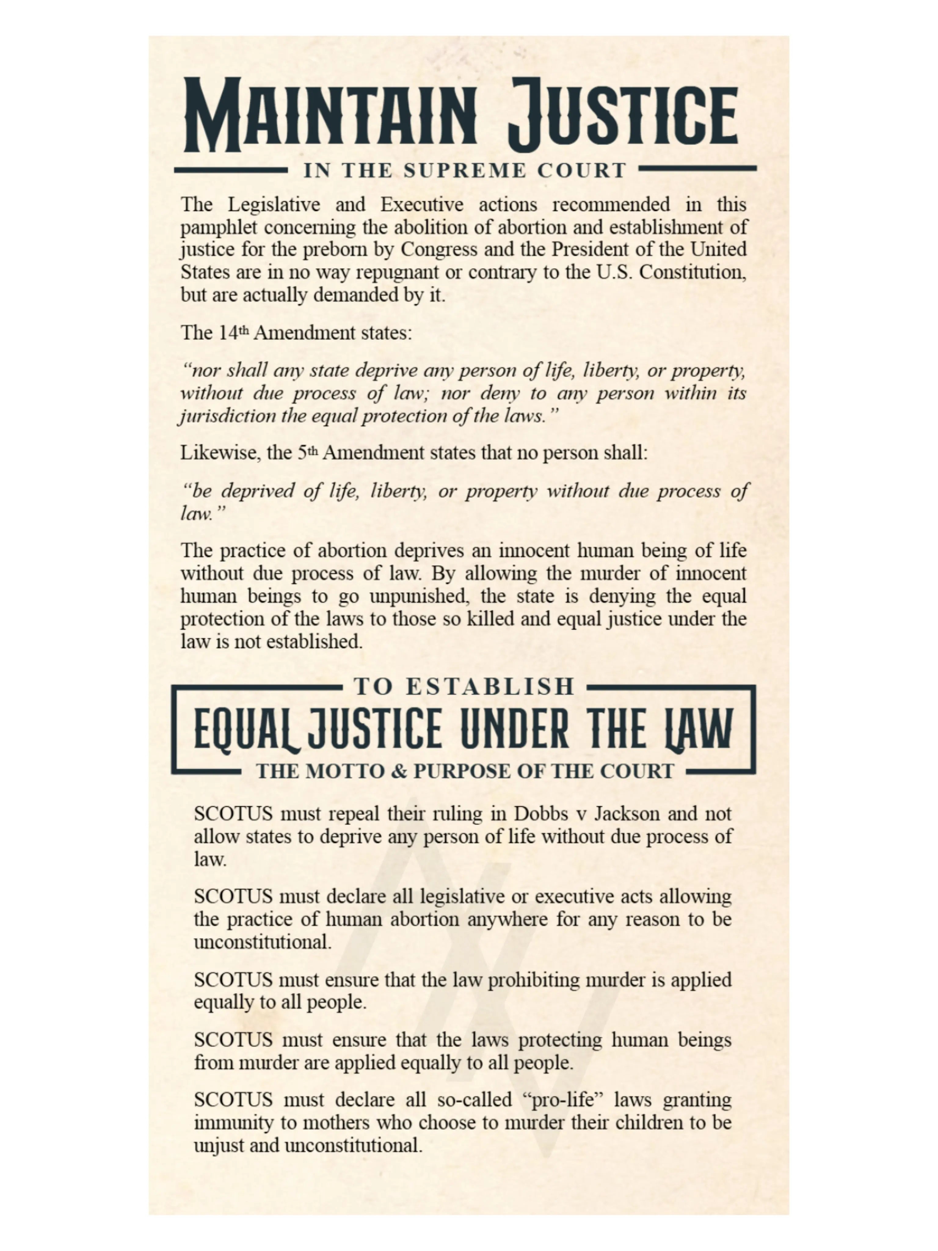 We The People Demand Abolition Trifold - Abolitionists Rising Gear Store