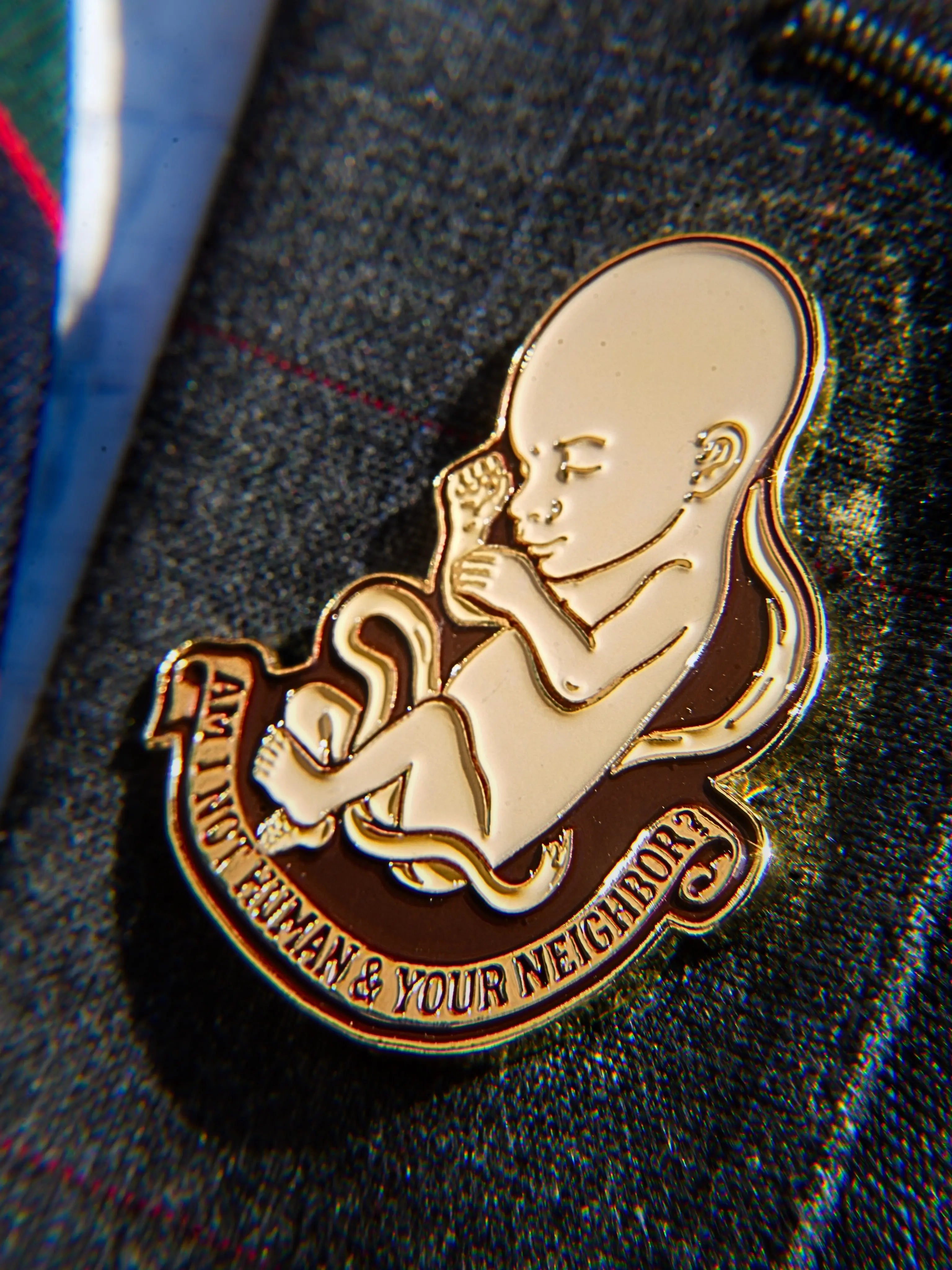 Am I Not Human? Pin Abolitionists Rising Gear Store 