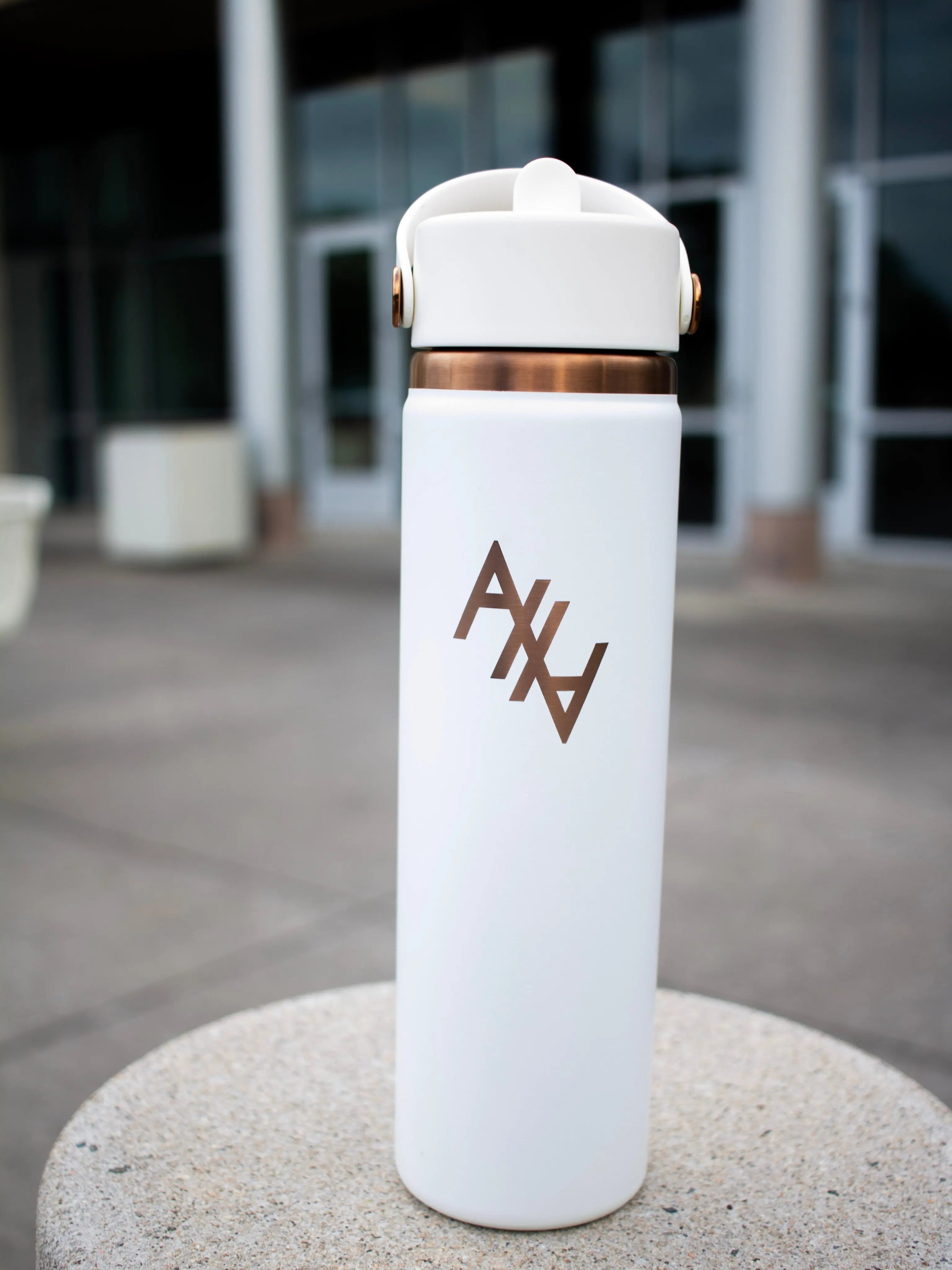 AHA (Abolish Human Abortion) Hydro Flask Abolitionists Rising Gear Store 