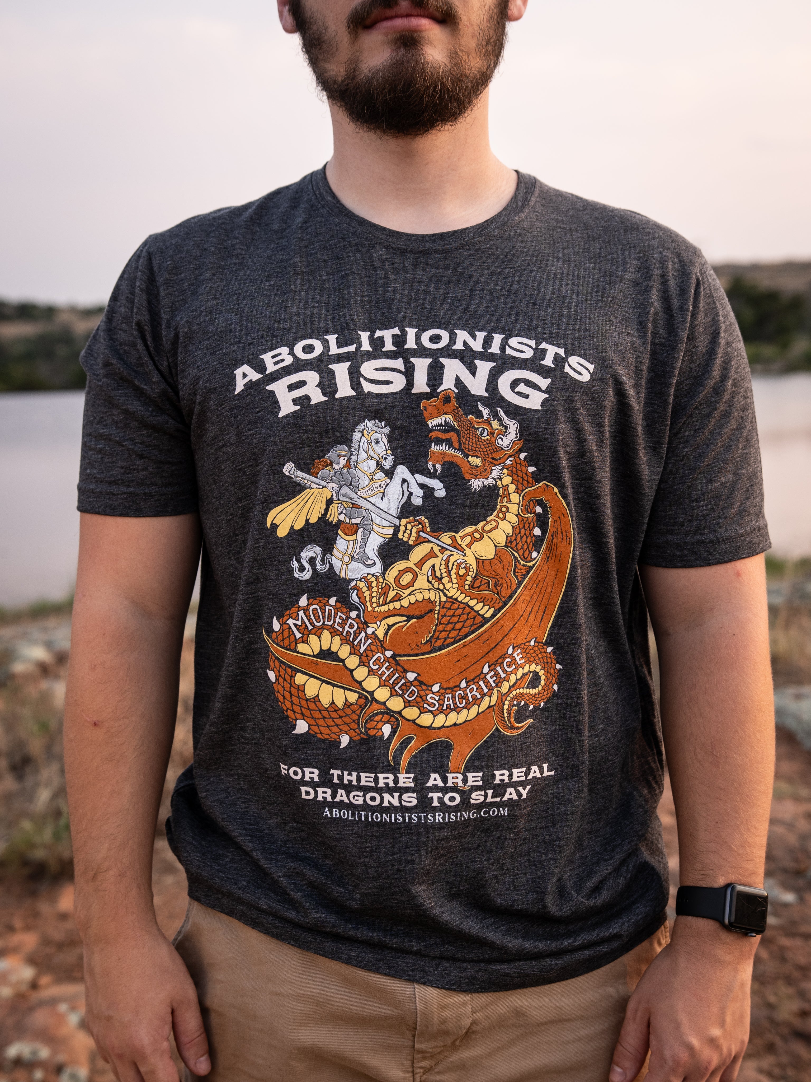 The Ultimate Dragon Slayer Collection - T-Shirt (Unisex), Dropcards, and Art Print