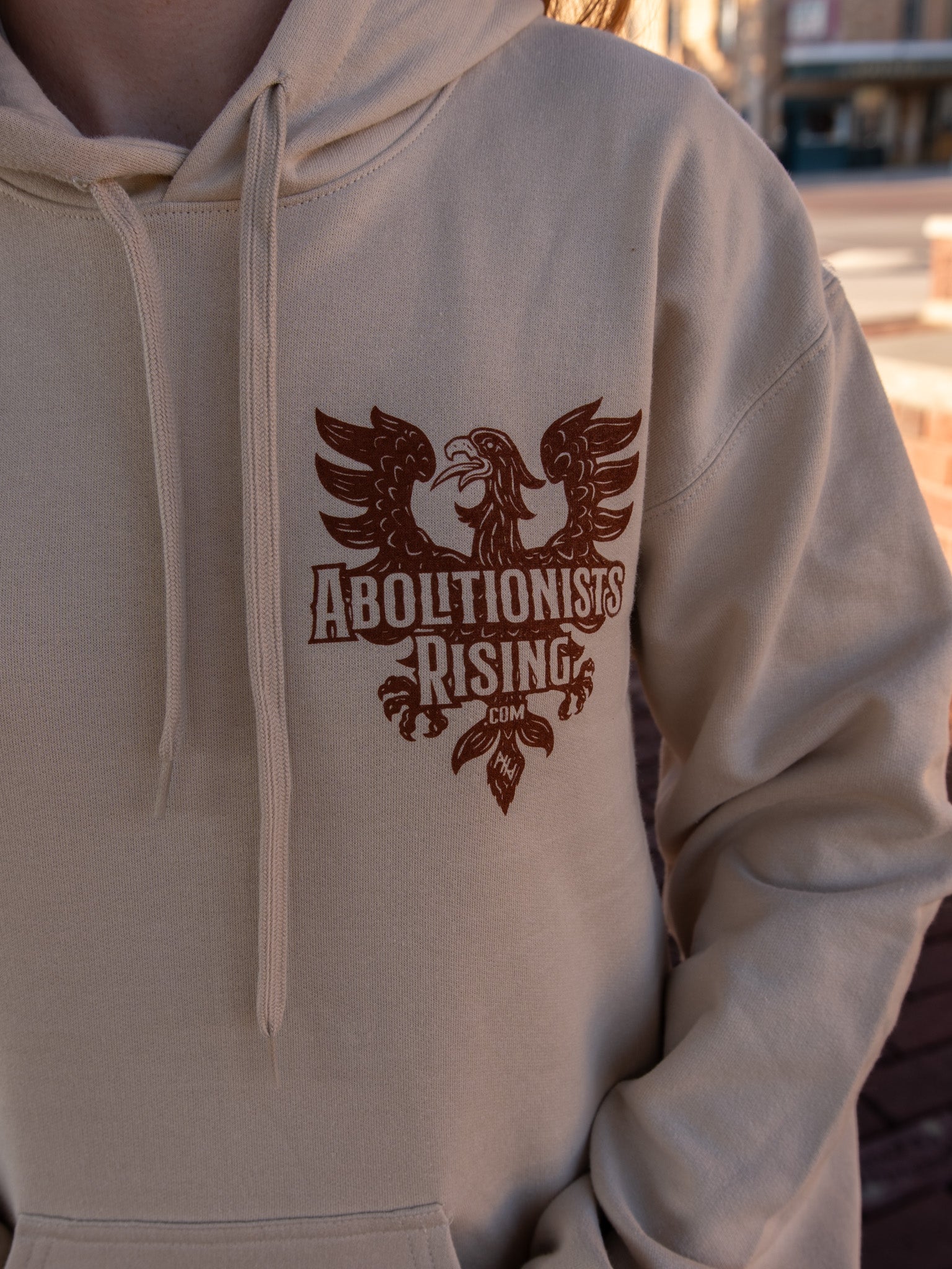 Abolitionist Wilberforce Eagle Unisex Hoodie - Abolitionists Rising Gear Store Shirts S Abolitionists Rising Gear Store