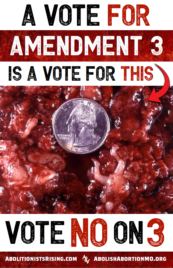 Missouri Vote No on 3 Sign 11 - Abolitionists Rising Gear Store Signs Default Title Abolitionists Rising Store