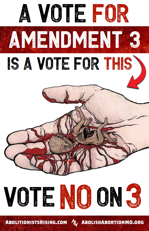 Missouri Vote No on 3 Sign 6 - Abolitionists Rising Gear Store Signs Default Title Abolitionists Rising Store