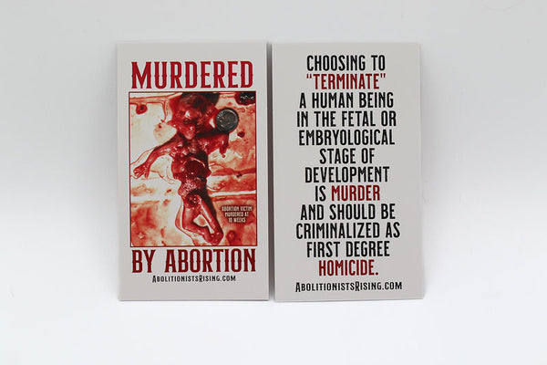 1st Degree Homicide | Murdered by Abortion at 10 weeks - Dropcard