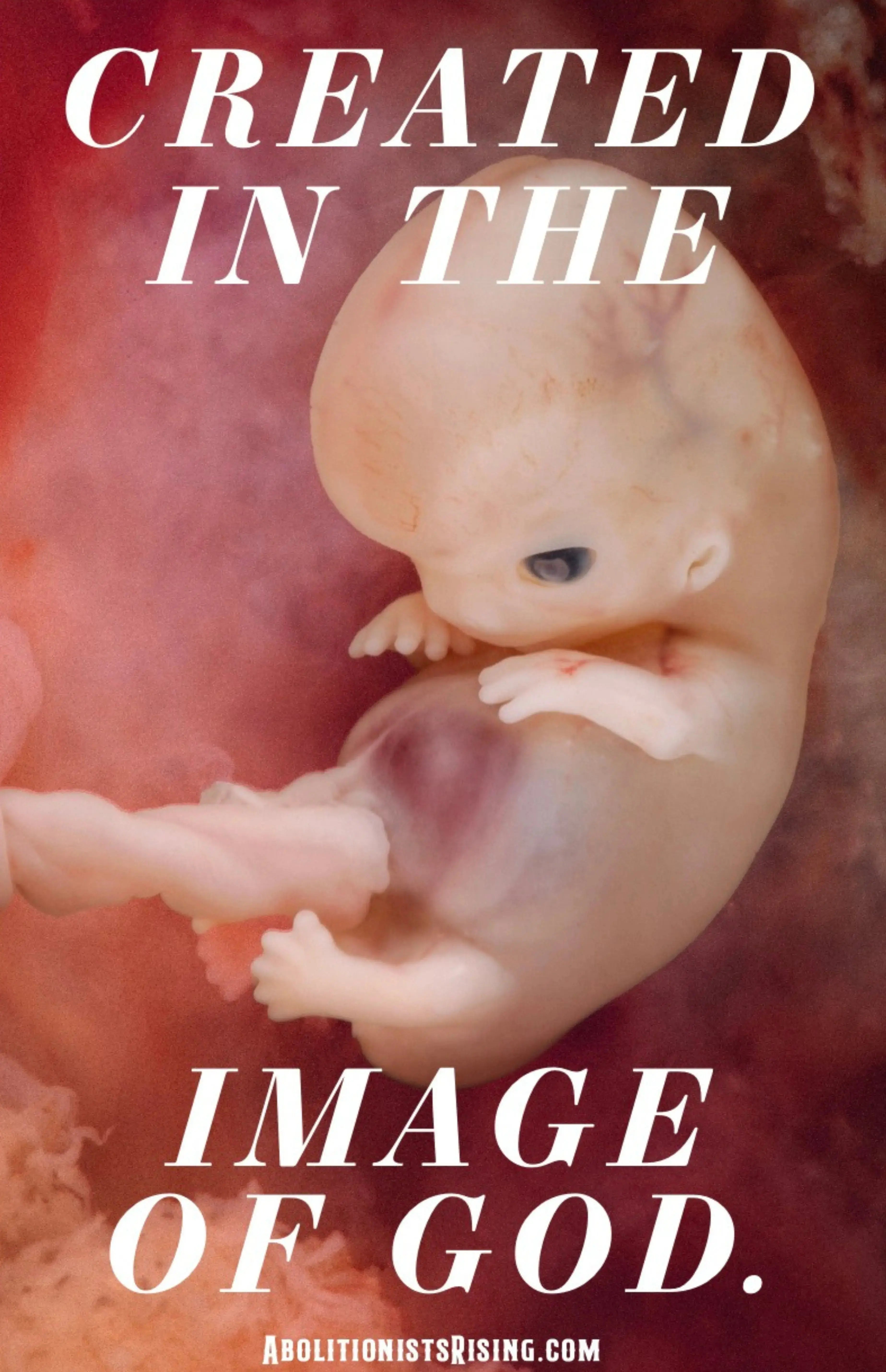 Created in the Image of God Picture Sign Abolitionists Rising Store 