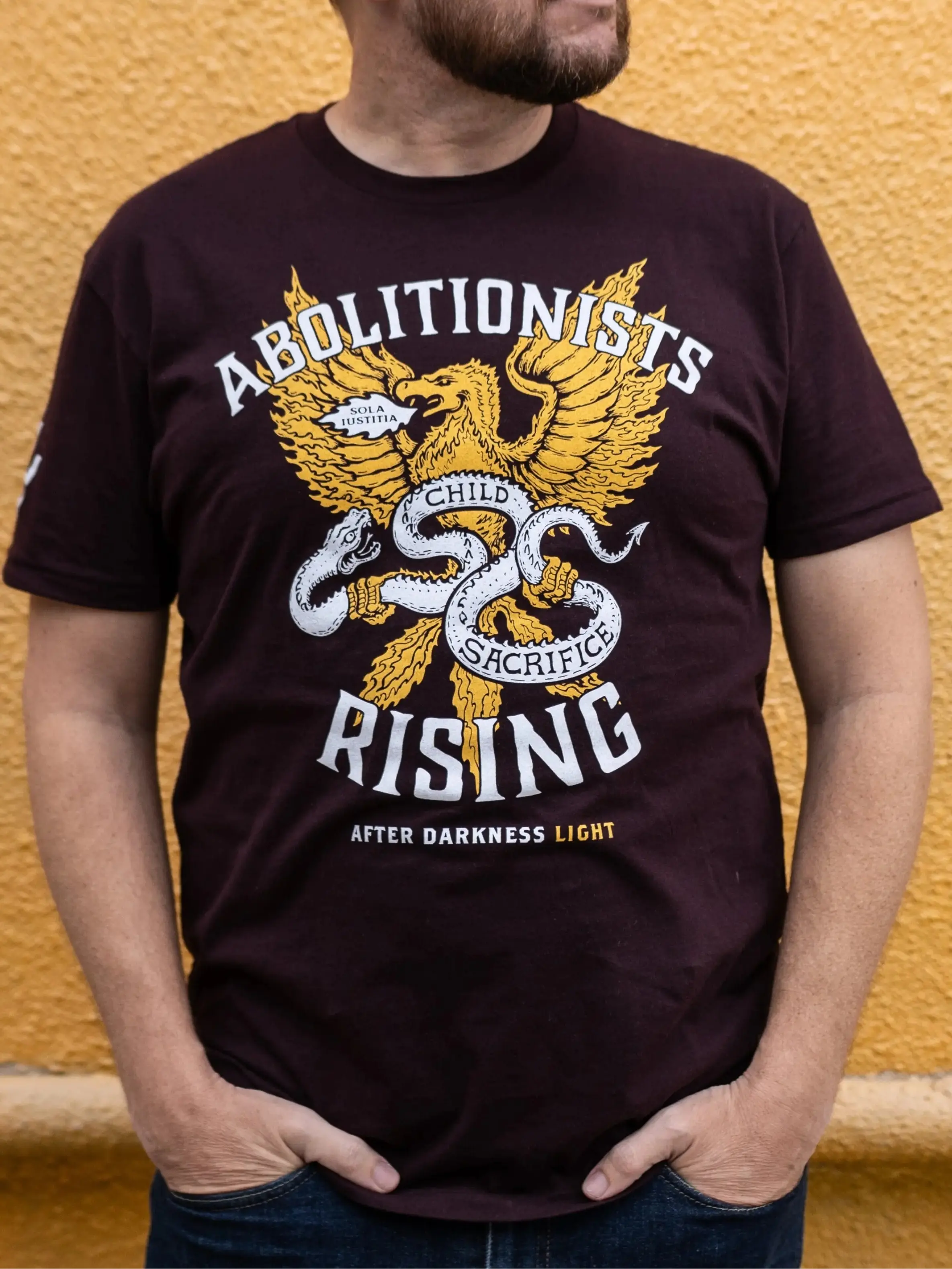 Phoenix Rising Unisex T-Shirt Abolitionists Rising Gear Store 