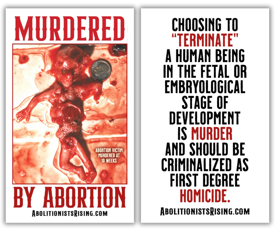 1st Degree Homicide | Murdered by Abortion at 10 weeks - Dropcard