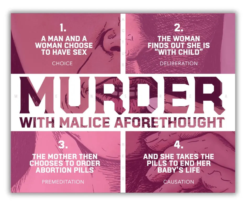 Taking A Pill To Murder Quadfold | Pack Of 100 Abolitionists Rising Gear Store 