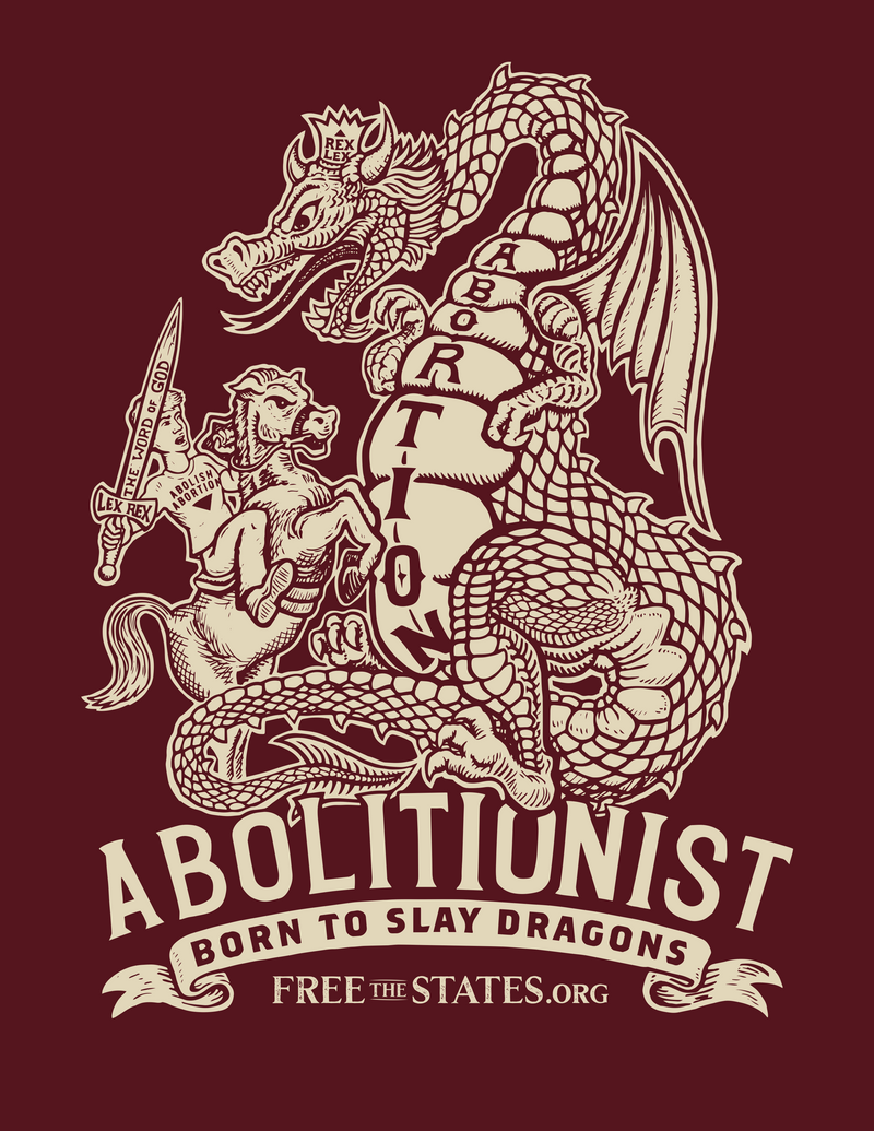 Born to Slay Dragons Youth T-Shirt